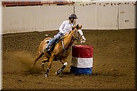 4H-State-2016-0115.jpg