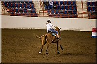 4H-State-2016-0118.jpg