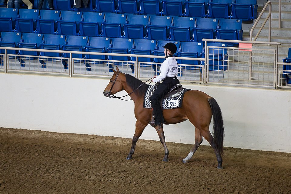 4H-State-2016-0204.jpg