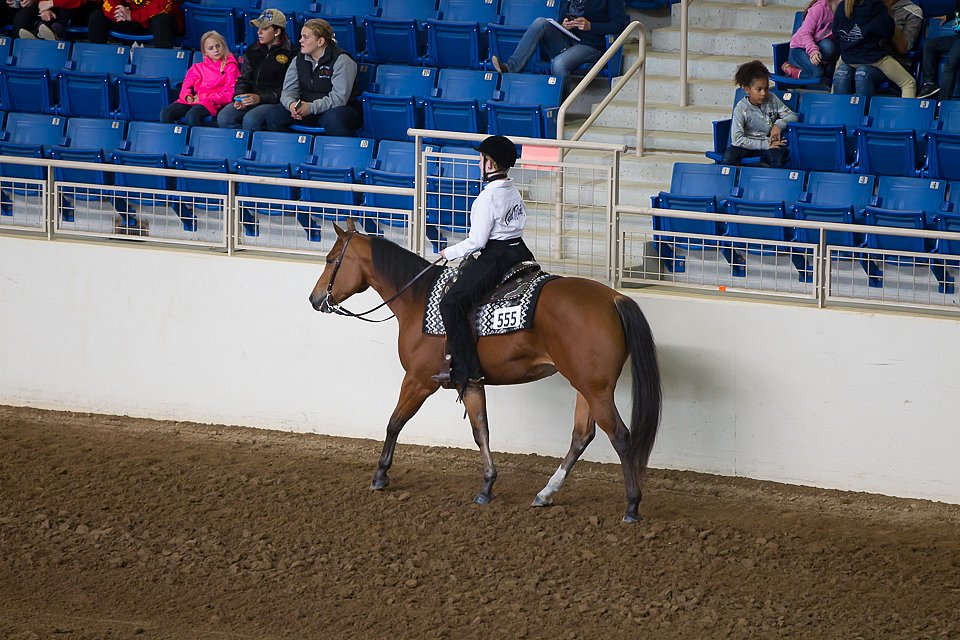 4H-State-2016-0208.jpg