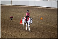 4H-State-2016-0170.jpg