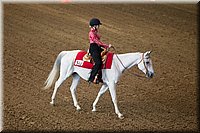 4H-State-2016-0178.jpg