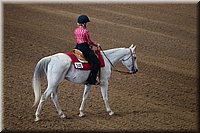 4H-State-2016-0180.jpg