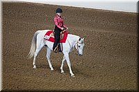 4H-State-2016-0184.jpg