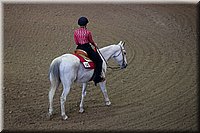 4H-State-2016-0188.jpg