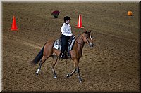 4H-State-2016-0192.jpg