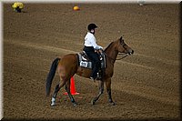 4H-State-2016-0193.jpg