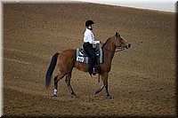 4H-State-2016-0194.jpg