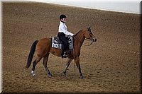 4H-State-2016-0195.jpg