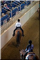 4H-State-2016-0209.jpg