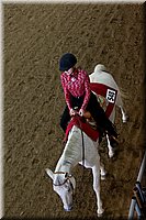 4H-State-2016-0236.jpg