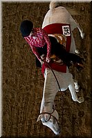 4H-State-2016-0237.jpg