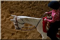 4H-State-2016-0239.jpg