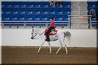 4H-State-2016-0289.jpg