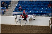 4H-State-2016-0295.jpg