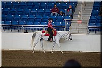 4H-State-2016-0296.jpg