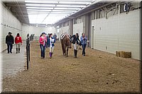 4H-State-2016-0861.jpg