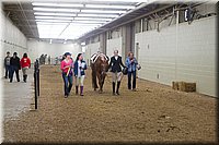 4H-State-2016-0862.jpg