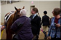 4H-State-2016-0868.jpg