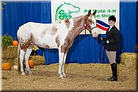 4H-State-2016-1187.jpg