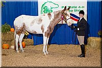 4H-State-2016-1188.jpg