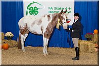 4H-State-2016-1194.jpg