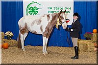 4H-State-2016-1194.jpg