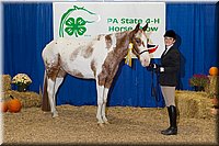 4H-State-2016-1195.jpg