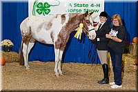 4H-State-2016-1197.jpg