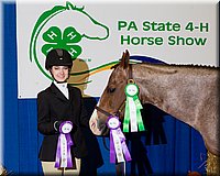 4H-State-2016-1365.jpg