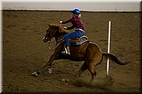 4H-State-2016-0405.jpg