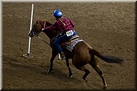 4H-State-2016-0413.jpg