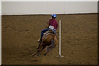 4H-State-2016-0416.jpg