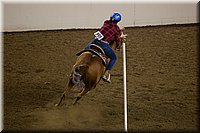 4H-State-2016-0418.jpg