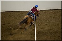 4H-State-2016-0419.jpg