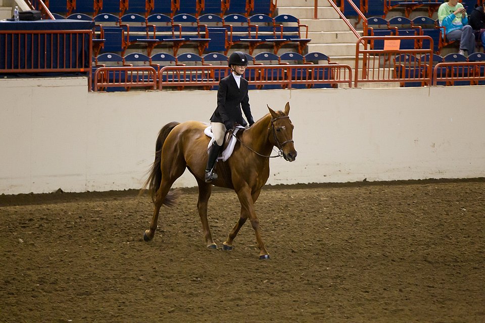 4H-State-2016-0975.jpg