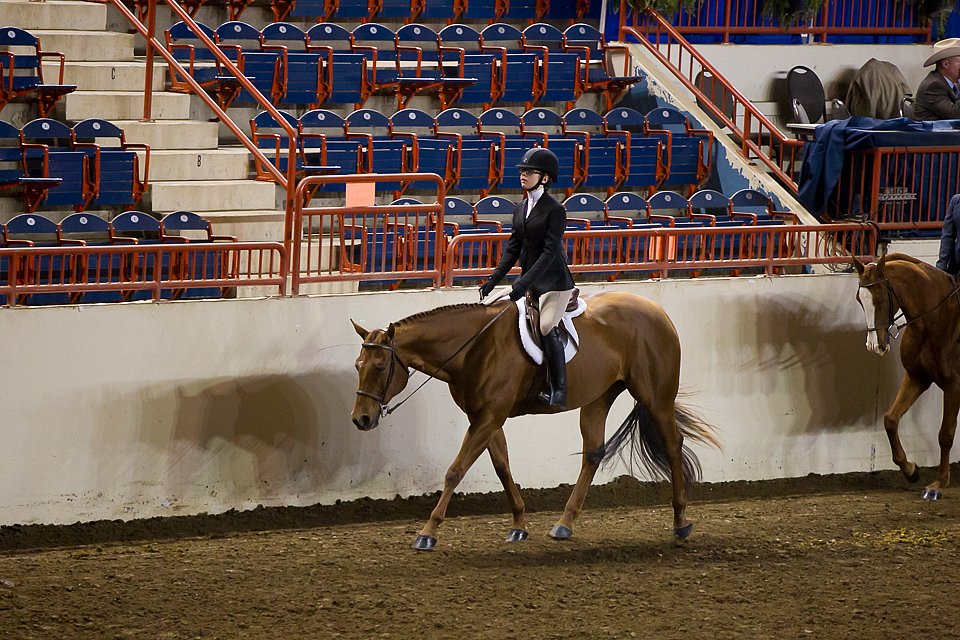 4H-State-2016-0985.jpg