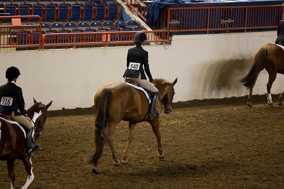 4H-State-2016-0992.jpg