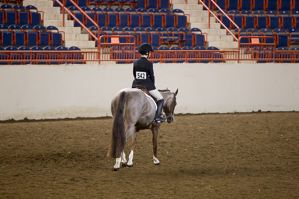 4H-State-2016-1007.jpg