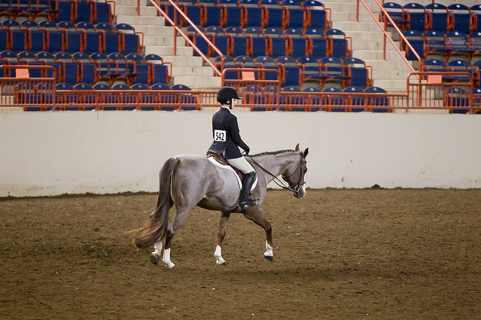 4H-State-2016-1008.jpg