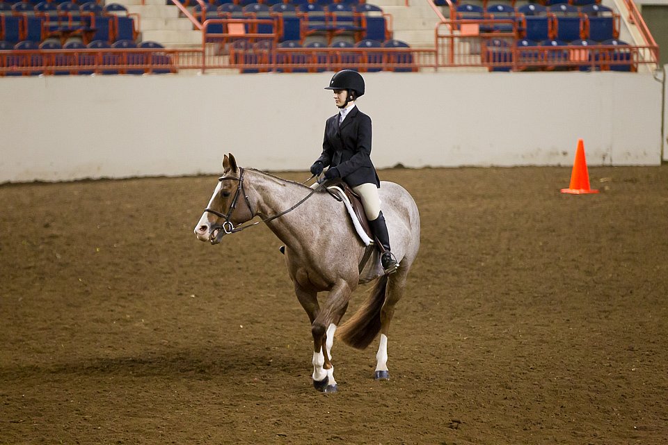 4H-State-2016-1009.jpg