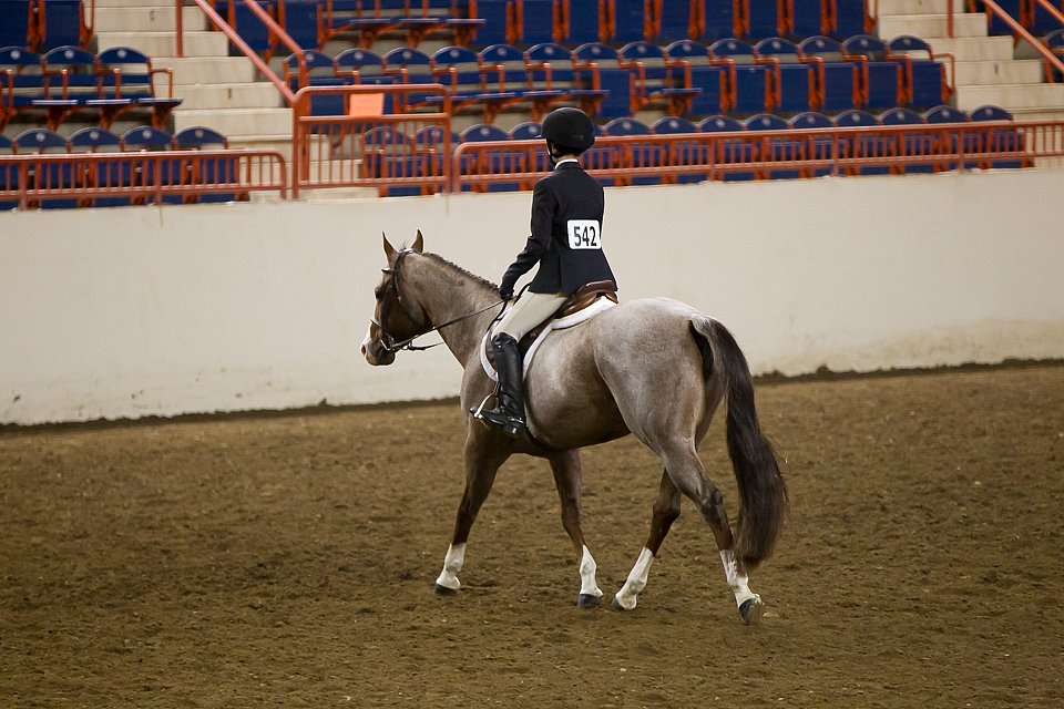 4H-State-2016-1010.jpg