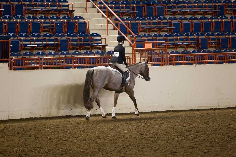 4H-State-2016-1012.jpg
