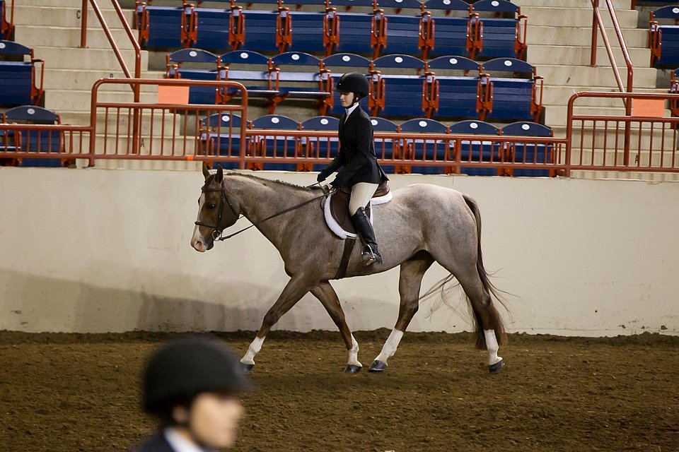 4H-State-2016-1014.jpg