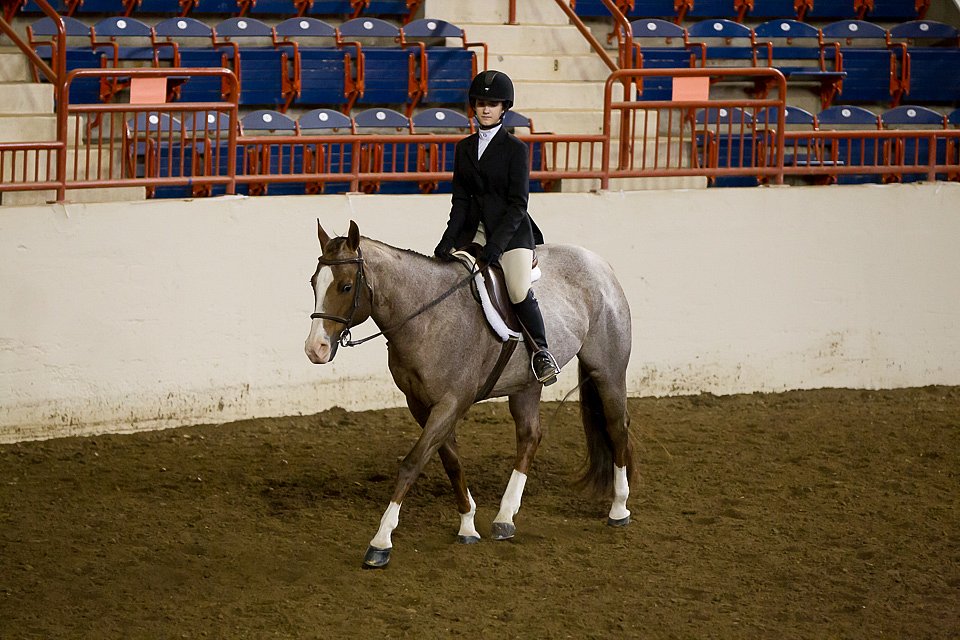 4H-State-2016-1016.jpg