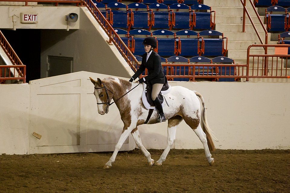 4H-State-2016-1018.jpg