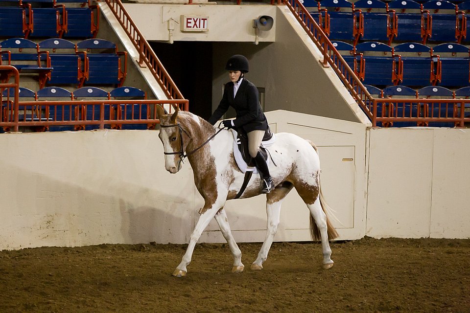 4H-State-2016-1019.jpg
