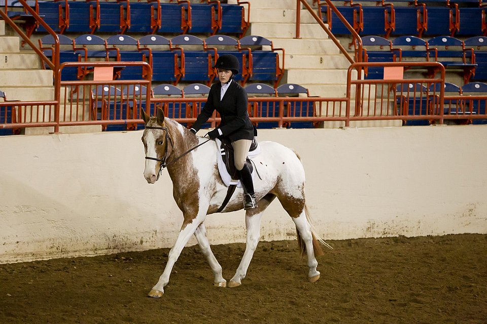 4H-State-2016-1020.jpg