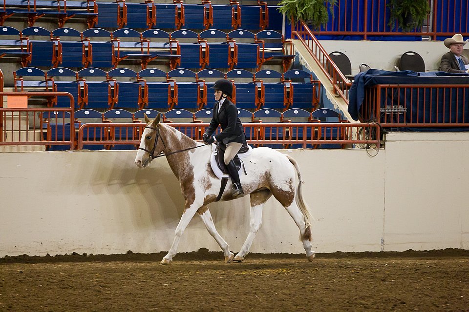 4H-State-2016-1021.jpg