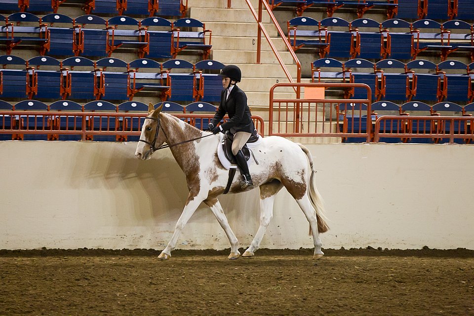 4H-State-2016-1022.jpg